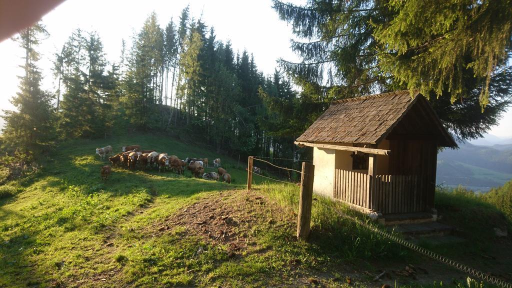 Bio-Peisingerhof Apartment Sankt Stefan ob Leoben Екстериор снимка